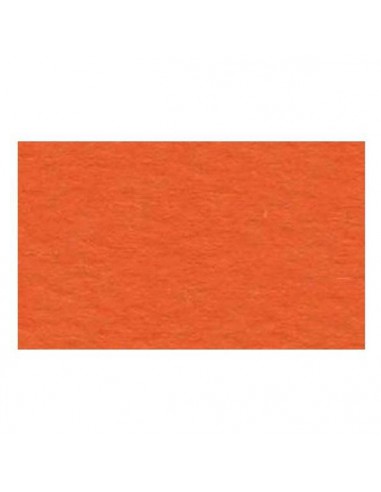 Papier Prisma 220g Mandarino 50x70 Pomarańczowy-5795
