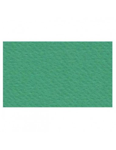 Papier Prisma 220g Verde 50x70 zielony -5807