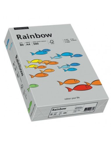 Papier Rainbow 80g R96 szary pak.500A4-6069