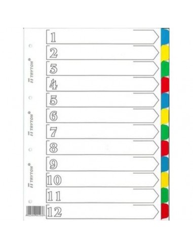 Przekładki do segregatora A4 12 kolorów  103-856