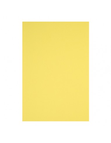 Brystol karton  A1 żółty160g R16 RAINBOW