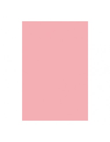 Brystol karton A1 różowy 160g R55 RAINBOW