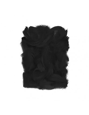 Piórka dekoracyjne ozdobne 10g czarne BLACK
