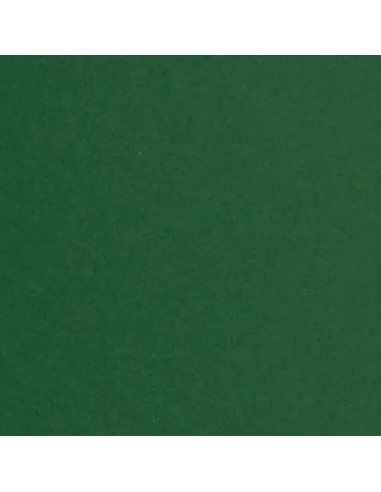 Karton 50x70 170g ciemny zielony SIRIO FOGLIA