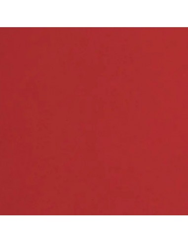Karton 50x70 170g ciemno czerwony SIRIO LAMPONE