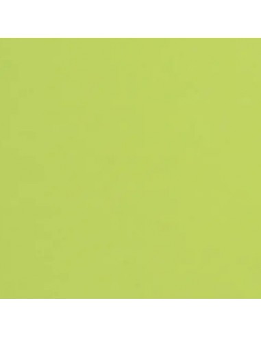 Karton 50x70 170g jasny zielony SIRIO LIME