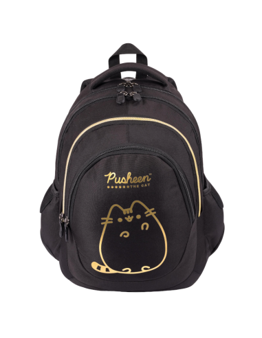 Plecak 4-komorowy BP-6 Pusheen Gold