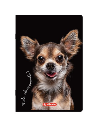 Zeszyt A5 60k linia pojedyncza Herlitz CRAZY ANIMALS